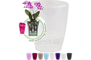 Happyplants ORCHIDEA Clear Self-Watering Orchid Pot Flower Planter With Water Level Indicator Water Reserve And Drainage Holes (Transparent, Ø 15CM - 2L)