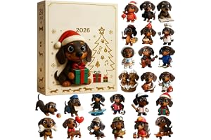 Tax jul adventskalender 2026, 24 st hundfigurer | 24 Mini 2D-figurer, 28 x 16 x 3 cm låda, semesternedräkning, akrylmaterial