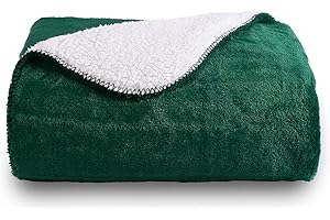SOCHOW Luksusowy koc polarowy Sherpa, 600 g/m², ultramiękki i ciepły, Flash w świetle, pluszowy koc na łóżko, sofę, kanapę, jesień, zima i wiosna, 150 x 200 cm, zielony