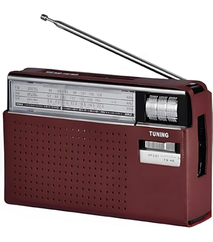 Panasonic Radio (RF-3500, 4 Band) : Buy Online at Best Price in