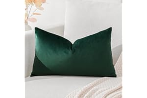 Artscope Housse de Coussin en Velours Décoratif Canapé Taie d'oreiller Super Doux Decoration Maison Salon Chambre pour Canapé 30x50cm Vert Foncé
