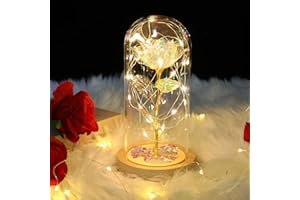 ADAZ Festa Della Mamma Rosa Stabilizzata Vera, Regalo per Lei Donna Mamma Fidanzata Rosa Eterna in cupola di vetro con luce a LED per San Valentino, Natale, giorno del ringraziamento