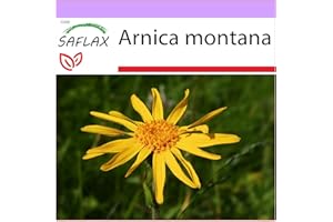 SAFLAX - Árnica - 40 semillas - Arnica montana