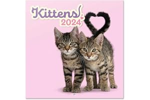 Grupo Erik Cats Wall Calendar 2024 12" x 12" | 12 Month Planner | Square Wall Calendar 2024 | Family Planner Calendar 2024 | Cat Calendar 2024 | Cats Calendar | Kitten Calendar | + 4 Bonus Months