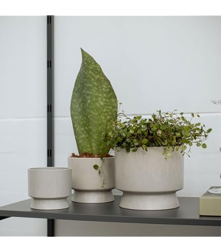 OYOY Living Maki Plant Box-High Pflanzkbel, Clay, einzigartig : Amazon.de:  Baumarkt