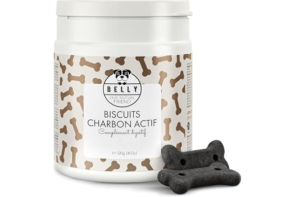 Belly® Biscuits Charbon Actif Chien -100g- 100% Végan - Réduit Gaz Malodorants, Anti Diarrhée Chien - Riche en Fibres, Graisses Végétales, Antioxydants, Vitamines, Minéraux - Activated Charcoal