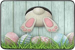 Alecony Schmutzfangmatte Ostern, Waschbare & rutschfeste Fußmatte Türmatte Sauberlaufmatte für innen und außen, Ostereier Osterhase Pflegeleichte Fußabtreter Fußabstreifer Fussmatte, 40 x 60cm (C)