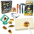 NALACAL Amber Gemstone Dig Kit, Insect Digging Kit Set For Kids, Gem Stones Digging Kit Set, 6 Real Life Gems & Amber, Educational Toys Fossils Science Kit with glasses and display frame Gifts