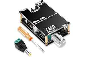 KKMOL ZK-1001B Module Amplificateur Bluetooth 2 x 100 W, Carte Amplificateur Monocanal avec Fonction TWS, Récepteur Audio Stéréo 9-24V avec Entrées Bluetooth/USB/AUX