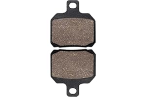 Yerbay Plaquettes de Frein arrière pour Piaggio X9 500cc Evolution 2003-2006/ X9 500 ie 2007