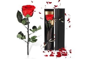 Vasmeiy Ewige Rose in Geschenkbox, Infinity Rot Rose mit Stiel Geschenke, Echte Rose Mama, Girlfriend, Wife, Birthday Gift, Muttertagsgeschenk