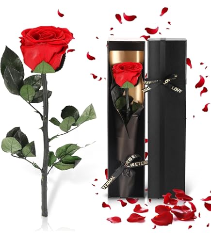 Valentijnsdag cadeau Echte bewaarde roos Eeuwig handgemaakt met liefde je ketting Rose