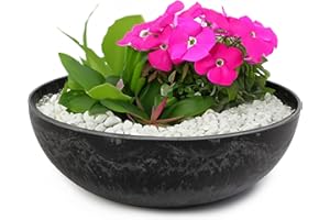 matches21 HOME & HOBBY Pflanzschale für draussen in schwarz marmoriert 25 x 9 cm als wetterfeste Blumen-Schale