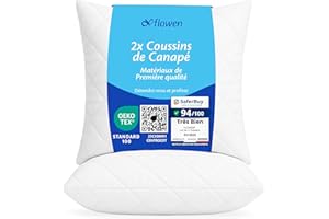 Flowen Coussin Canape 40x40 Lot de 2 Oreillers Decoratif Accessoires pour Sofa Decoration Aesthetic pour Salon et Exterieur Antiallergiques et Anti-Acariens avec Taie d'oreiller en Polyester