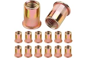 100 Pcs Rivet Nuts M5, Leryati Zinc Plated Threaded Rivet Inserts Flat Head Carbon Steel Blind Rivnuts, Nutsert Rivnuts Kit M5 Nut Pitch-0.8mm