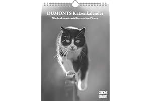 ‎DUMONT Dumonts literarischer Katzenkalender - Wochenkalender mit 53 Motiven und Zitaten von Marion Schmidt: Mit 53 Katzenporträts und Zitaten