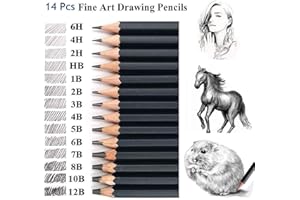 Coocnh Zeichenstifte-Set, 14-teilig, Zeichenstifte, 12B, 10B, 8B, 7B, 6B, 5B, 4B, 3B, 2B, B, HB, 2H, 4H, 6H, Graphit-Bleistifte für Kinder, Erwachsene, Künstler, Studenten, Anfänger, Profi