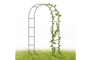 YAOBLUESEA Metal Garden Arch, 2.4M Garden Archway Enrejado de Acero con Revestimiento en Polvo para Plantas Soporte Rosas Escalada Archway Jardín Decoración (Negro)
