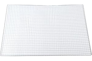 REACHMALL Griglia rettangolare per barbecue, in acciaio , griglia per barbecue, tappetino per barbecue all'aperto, giardino, campeggio, viaggi, escursionismo, cucina (60 x 40 cm)