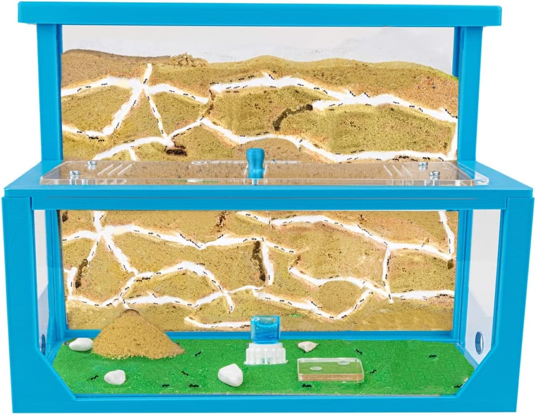 Anthouse.es - Hormiguero Natural de Arena - Kit Hormiguero 3D Forma de L (Sándwich + Caja de Forrajeo) - Granja de Hormigas con Colonia de Hormigas Incluida - 25x20x1 cm y 10x24x10 cm - Azul