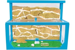 Anthouse.es - Hormiguero Natural de Arena - Kit Hormiguero 3D Forma de L (Sándwich + Caja de Forrajeo) - Granja de Hormigas con Colonia de Hormigas Incluida - 25x20x1 cm y 10x24x10 cm - Azul