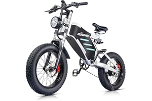 RZOGUWEX Electric Bicycle，20 Inch Off-Road EBIKE for Adults with 48V 25AH Detachable Lithium Ion Battery, 7 Speed Snow Bike with Dual Shock Absorbers and Brush-less Motor