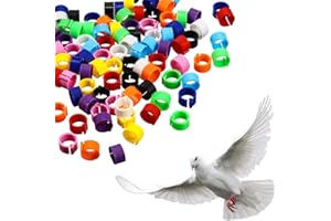 WEEWOODAY 300 Pièces 8 mm Anneau de Bandes de Patte de Pigeon Bandes de Pied Multicolores en Plastique de Poulet de Caille d'Oiseau Clip sur Anneaux de Jambe pour Poussins Pinson Nain Tourterelle