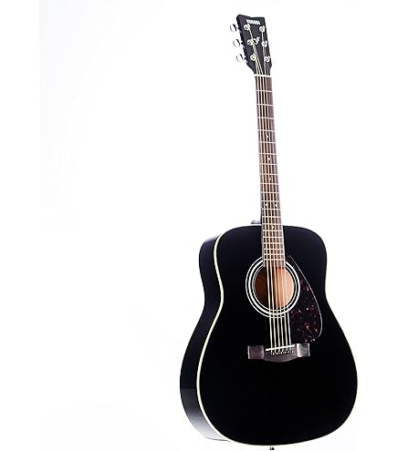 【中古】 Rave on  12 PascalF．E．O．S． ,ChrisWood ,Wilke＆D’Agnell 中古】 Rave on Snow 12 PascalF．E．O．S． ，ChrisWood