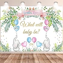 Sfondo Per Rivelare Il Genere: Banner 150x99 Cm Rosa E Blu Per Baby Shower. Decorazioni Per Annuncio Gravidanza.