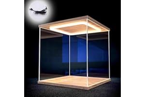 CMYUN Vitrina de Acrílico Vitrina de Acrílico Transparente con Luz LED, Caja de Almacenamiento a Prueba de Polvo para Coleccionables/Figuras de Acción, Protección Vitrinas de Mostrador(25x25x