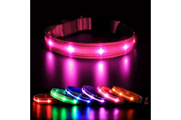 MASBRILL LED Collier Lumineux pour Chiens, Lumière Collier Chien Rechargeable et Etanche, Collier de Réglable avec 3 Modes d'éclairage pour Petits/Moyens/Grands Chiens(Rose, M)