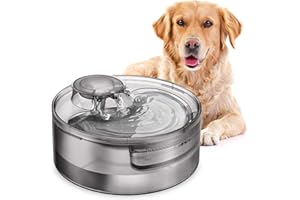 NPET 5L Dog Water Fountain, Dog Water Dispenser, Automatic Cat Water Fountain, Large Pet Drinking Fountain with 2 Filters for Adult Cats and Dogs, Quiet Pump, Cleaning Kit, Grey, DF10