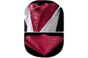 HISDERN Ascot Uomo a Paisley Pois Foulard Uomo e Fazzoletto Elegante Cravatta Ascot Uomo e Pochette da Matrimonio Festa Classico Ascots Set