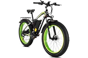 HFRYPSHOP Bicicletta Elettrica 26", Bicicletta Elettrica da Montagna con 4,0 Pneumatici Grassi Batteria al Litio 48 V 17.5 Ah (840 Wh), 85 N.m, Shimano 21 Velocità, Freni a Disco Idraulici