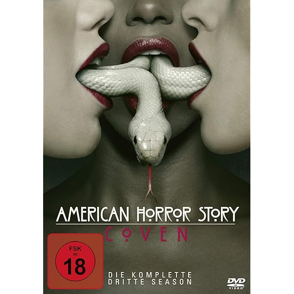 American Horror Story - Season 1 [4 DVDs]: Amazon.de: Lange