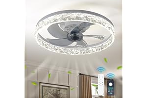 DIISUNBIHUO 20" Modern LED Ceiling Fan with Lights Dimmable Acrylic Dimmable Low Profile Ceiling Fan Flush Mount Bladeless Chandelier Fan Stepless Color Temperature Change and 6 Speeds (White)