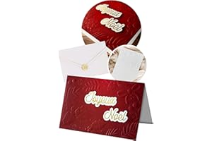 Joli Coon Carte noel 3D - Premium Carte de noel avec enveloppe en papier premium et autocollant cachet pour partenaire, famille & amis - 17 x 11,5 cm
