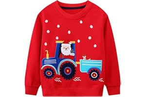 FILOWA Sudadera para Niño Algodon Cuello Redondo Pullover Dinosaurios Excavadora Estampado Jersey Papá Noel Alce Bordado Sweatshirt Cálido Manga Larga Jumper Otoño Invierno Top Infantil 2-7 Años