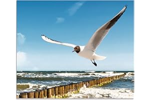 ARTland Spritzschutz Küche aus Alu für Herd Spüle 60x50 cm (BxH) Küchenrückwand mit Motiv Ostsee Strand Meer Möwe Natur Maritim T5QR
