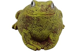 Memeyou Hide a Key Outdoor Waterproof Key Hiders Safe Storage Lock Box For Outside Yard Garden Statues Ornament Indoor Decoration Large Size Design House Spare Holder Frog