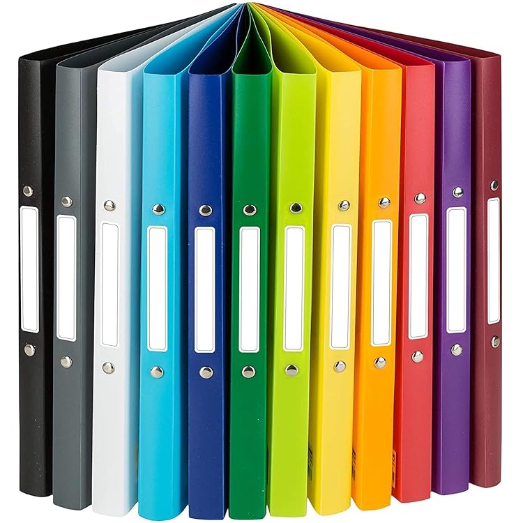 Exacompta 511999E Ringbuch OPAK DIN A4 aus Kunststoff mit 4 Ringen 
