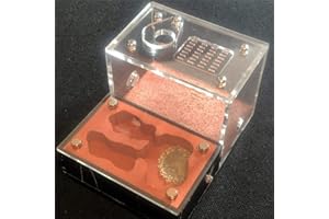 Ant Grape Formicarium Hormigas Hormiguero caseta DIY Lichtschattierung Öcológica plana hormigas Acrylputz Hormigasnest hormigón yeso hormigas taller Sandburg hormigas casa