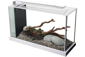 Fluval Aquarium Spec V 19 L Blanc