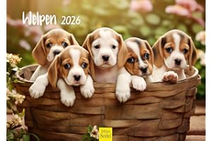 ‎EDITION SEIDEL Edition Seidel Premium Kalender Welpen 2026 Format DIN A3 Wandkalender Hundekalender Hund Welpe Tierkinder Hunderasse Haustier