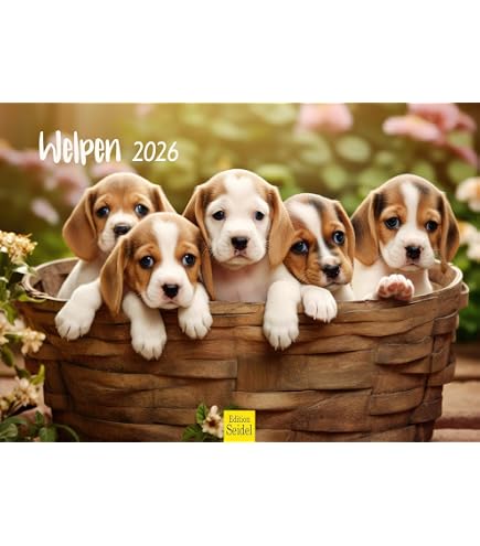 Edition Seidel Premium Wandkalender 2026 – DIN A3 Met Hond En Kat, Duitse Kwaliteit Met Spiraalbinding