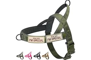 Eeyfarog No Pull Hundegeschirr für kleine mittelgroße Hunde, reflektierend ausbruchsicher verstellbar ohne Zug, Hundegeschirr (Grün, L)