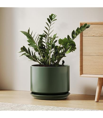 schmaler blumenkasten Holsteiner Blumenkasten aus Massivholz  Single Variante -