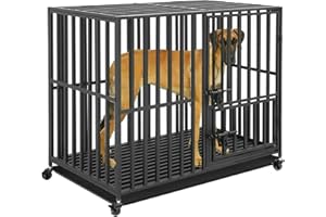BingoPaw Cage Chien Interieur Solide: Caisse de Transport L sur Roulette Grand Chien Grande Taille - Cages Robuste Extérieur pour Gros Chiens en Métal avec 3 Porte et Plateau Amovible 95x81x57cm