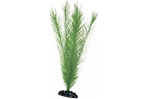 AMTRA WAVE Blyxa Plante Classique pour Aquariophilie Taille M