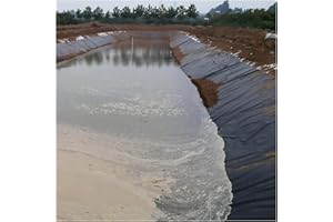 MYJIO Lámina De PVC Lona Estanque Negro Revestimiento Estanque Resistente Estanques De Peces Revestimiento Preformado Membrana para Alberca De Jardín Fuentes Koi Pond Liner (Size : 10x10m)